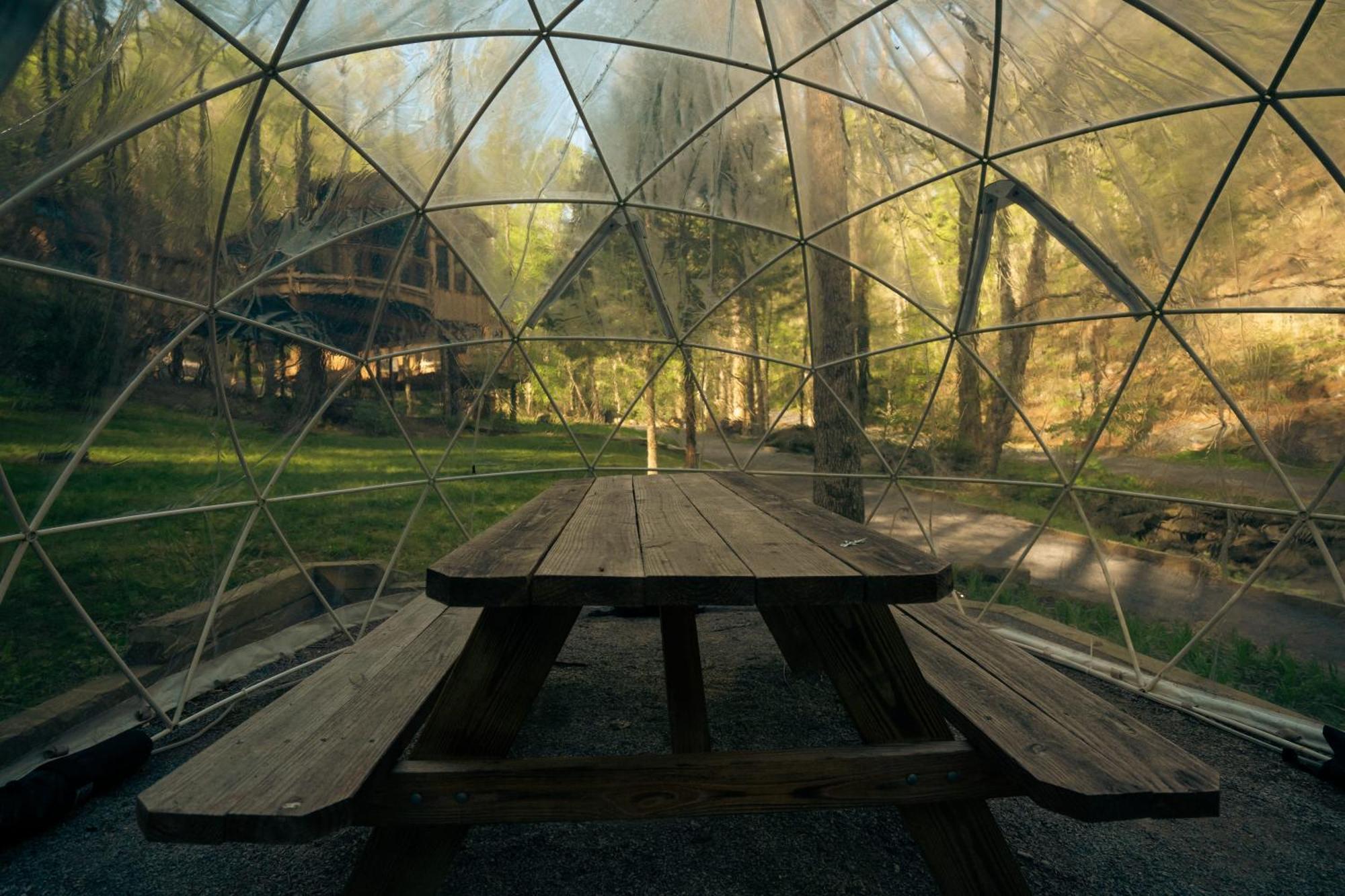 ガトリンバーグ The Dogwood In Treehouse Grove At Norton Creekヴィラ エクステリア 写真