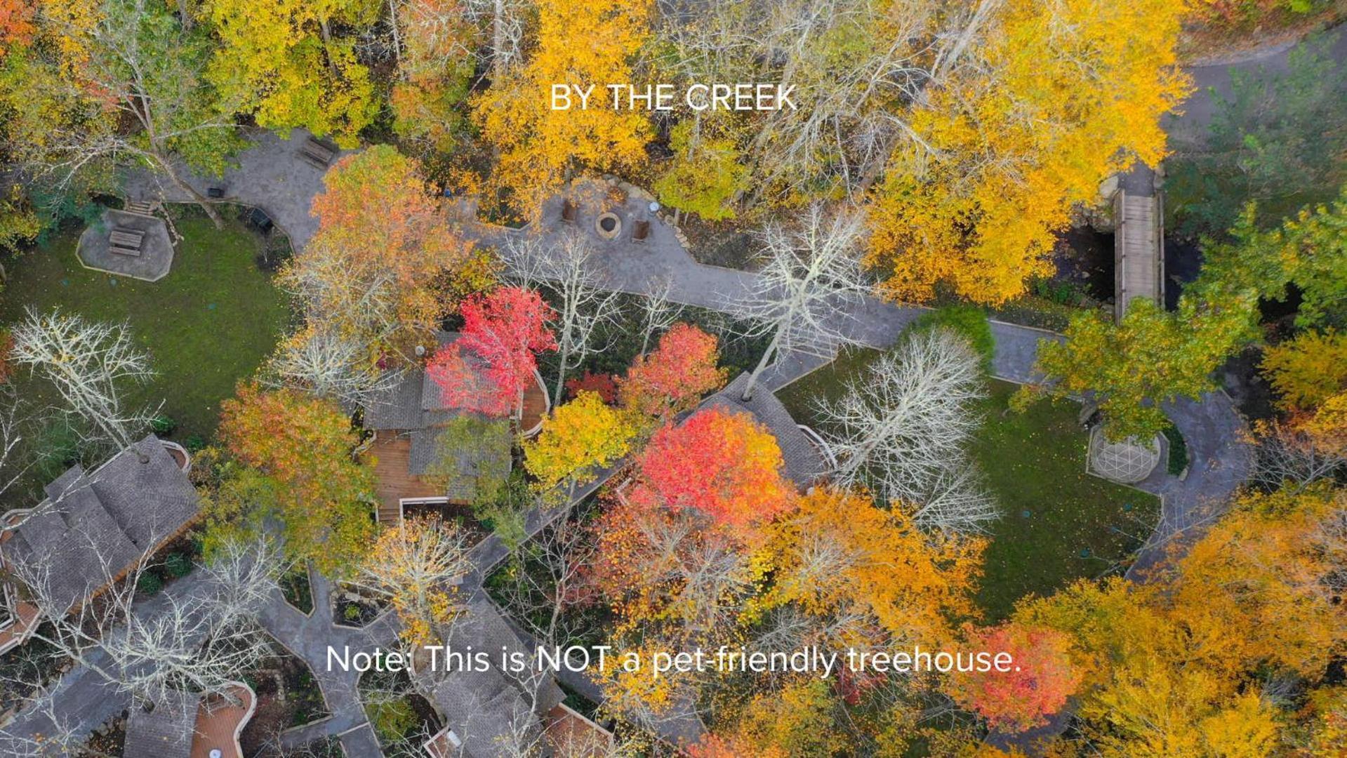 ガトリンバーグ The Dogwood In Treehouse Grove At Norton Creekヴィラ エクステリア 写真